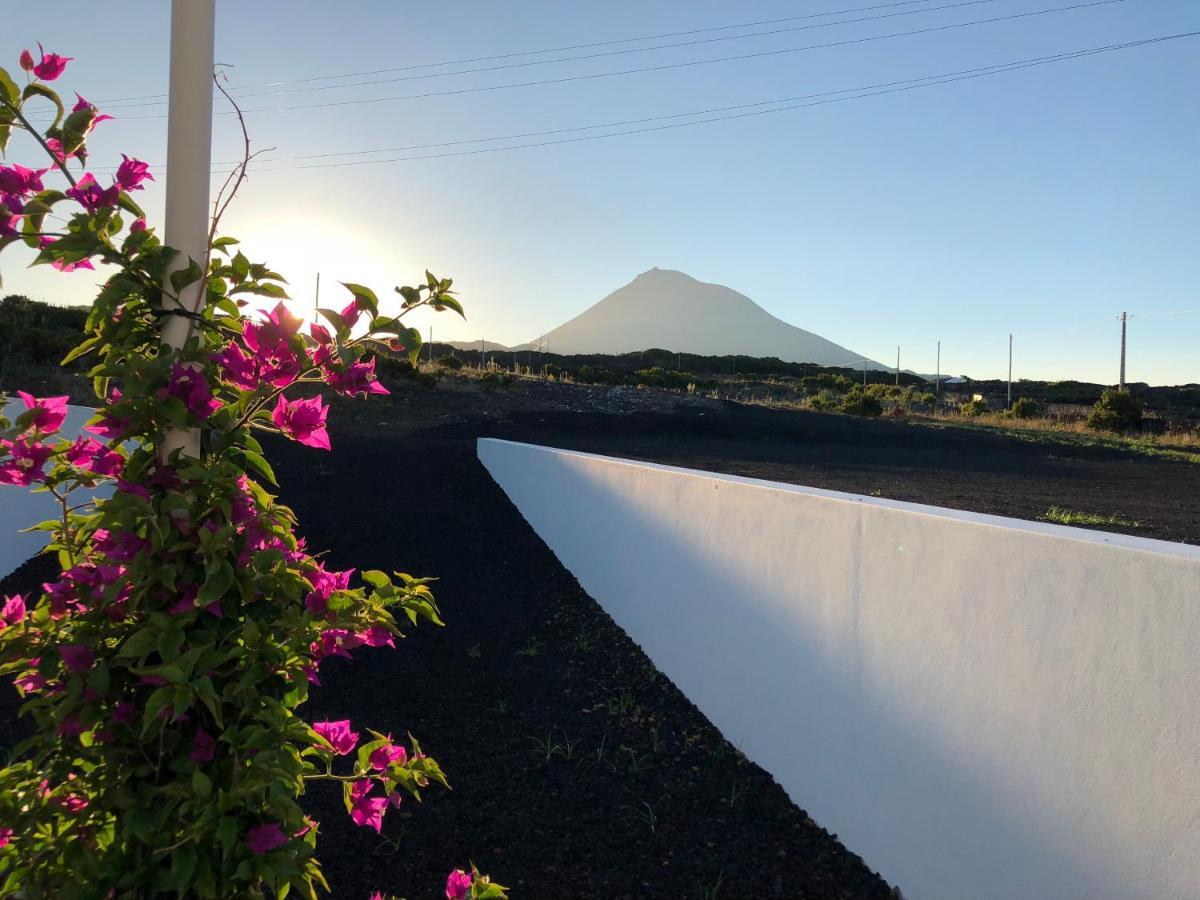 Vinhas Do Calhau Aparthotel Madalena  Bagian luar foto